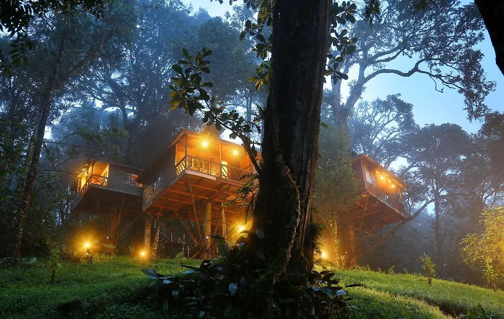 ****  Nature Zone Jungle Resort Munnar India