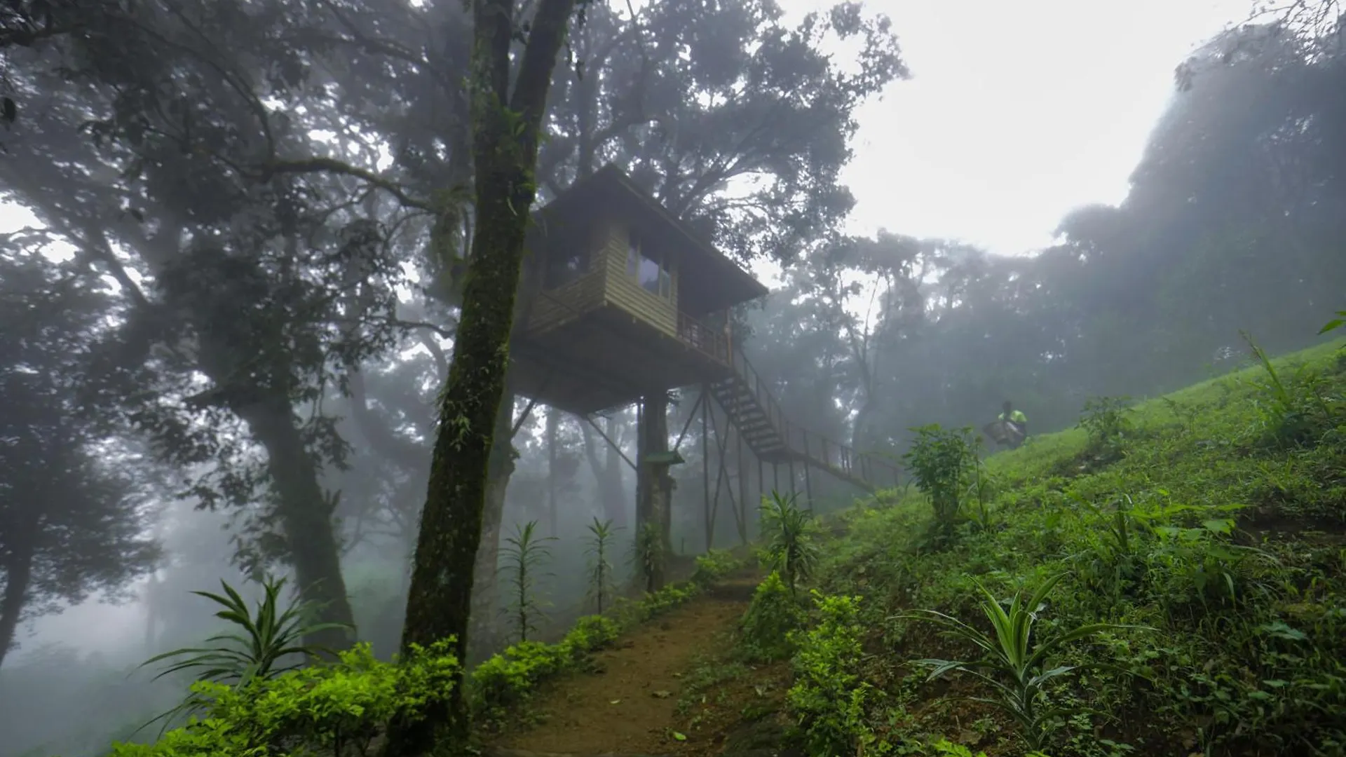 Nature Zone Jungle Resort Munnar 4*,  India