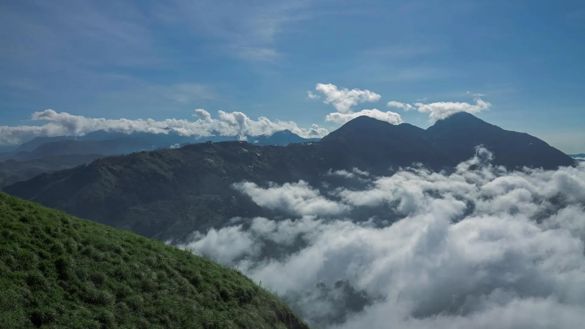 Nature Zone Jungle Resort Munnar