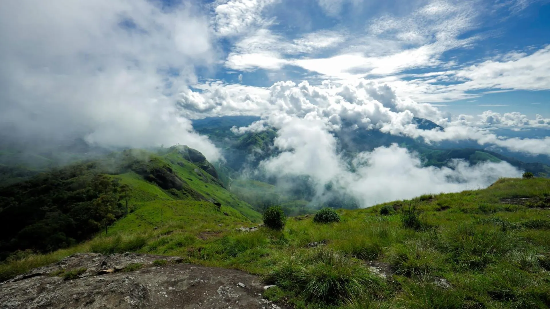 Nature Zone Jungle Resort Munnar 4*,