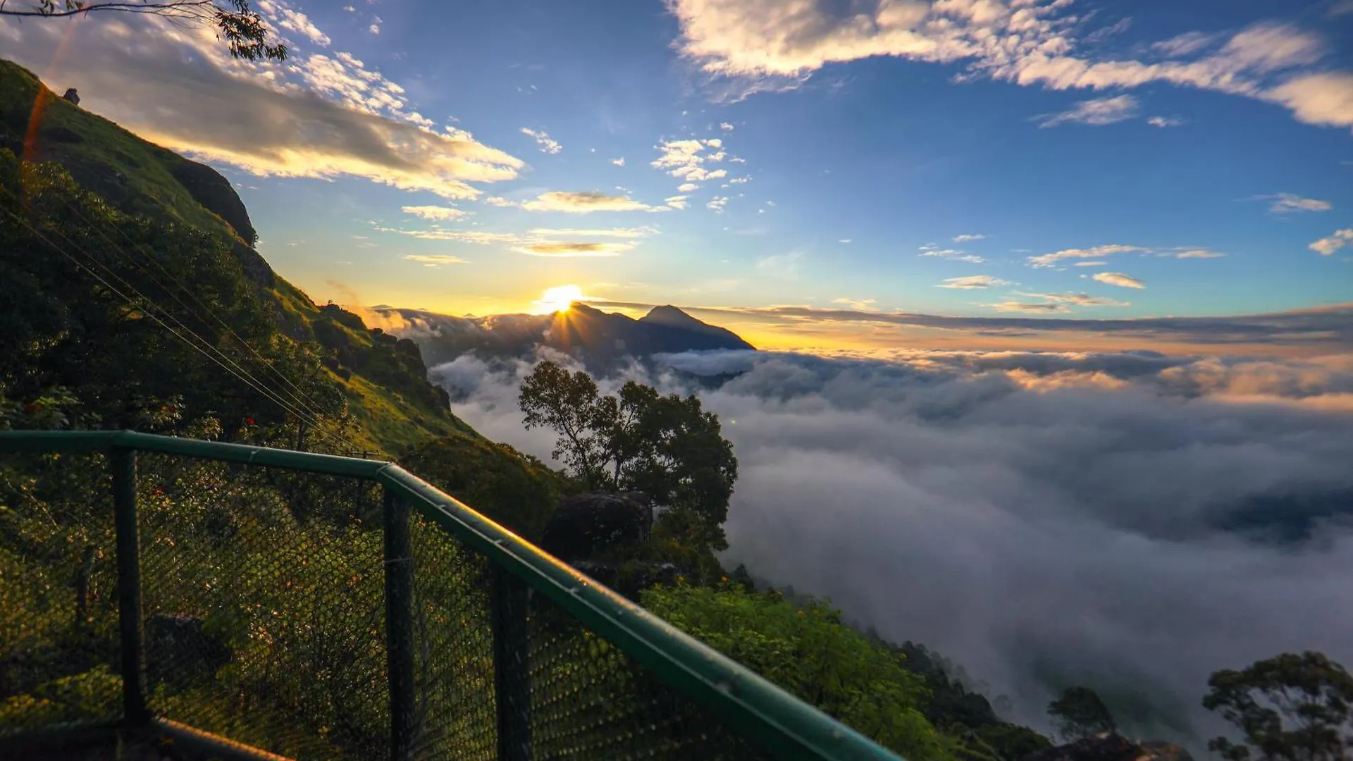 Nature Zone Jungle Resort Munnar India