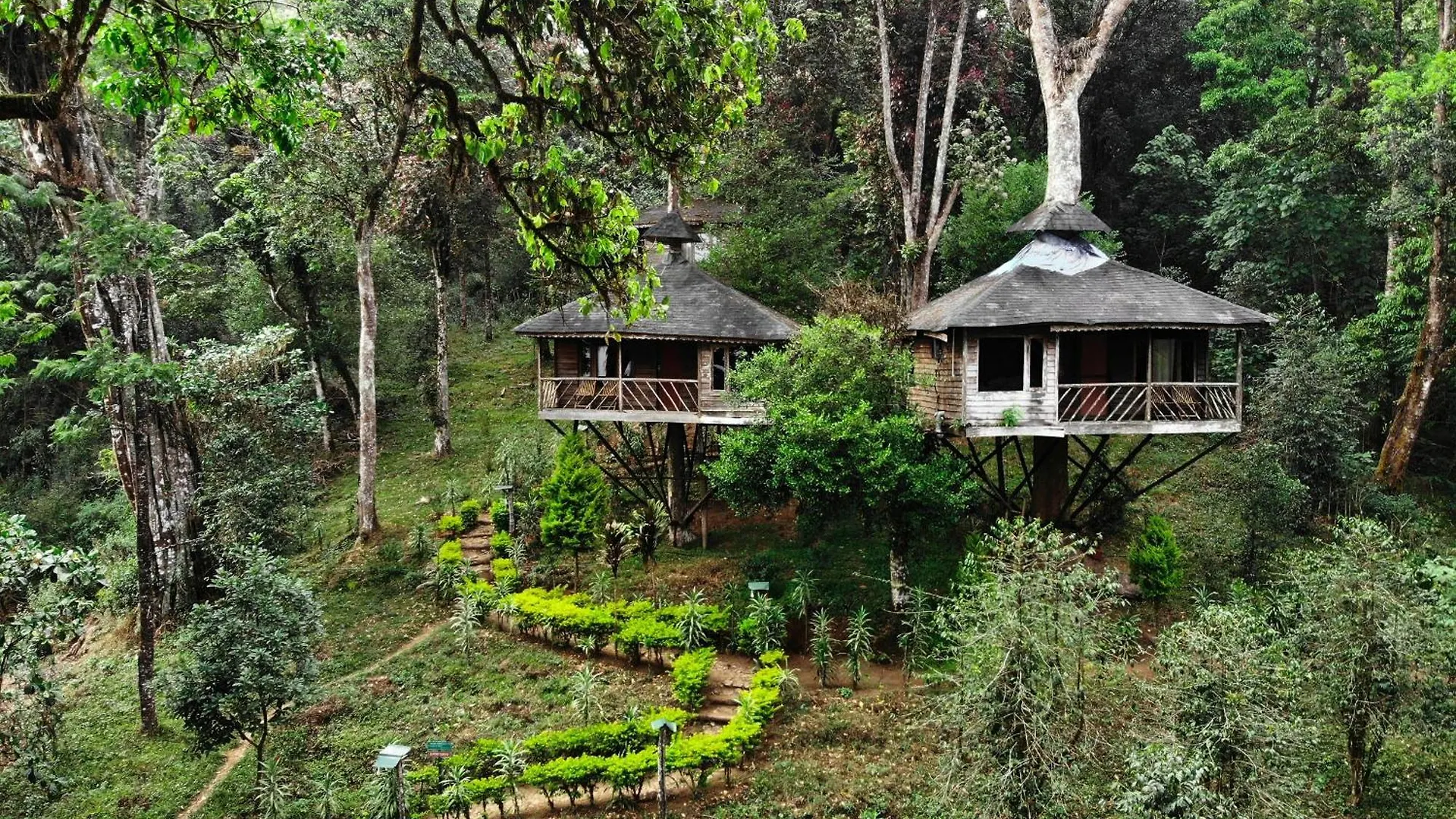Nature Zone Jungle Resort Munnar
