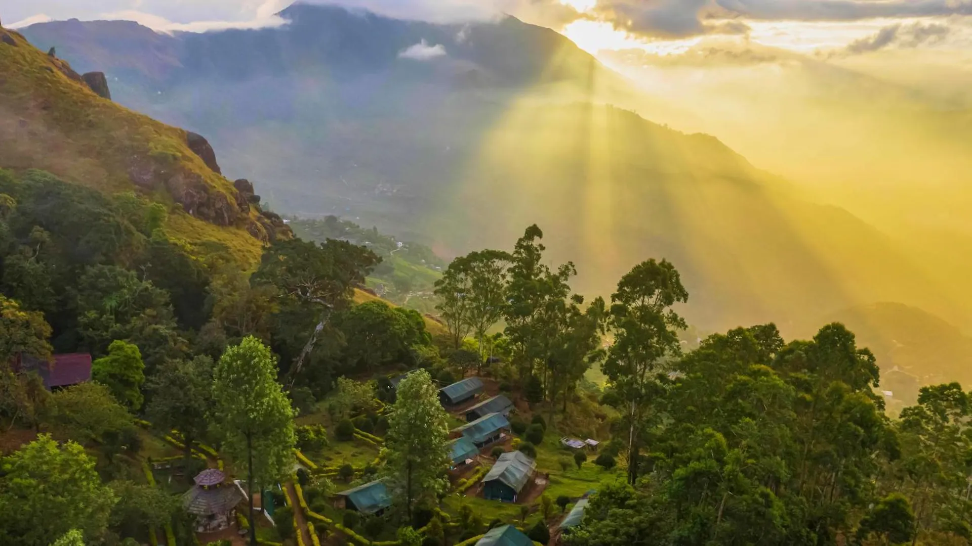 Nature Zone Jungle Resort Munnar