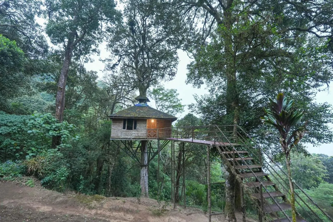 Nature Zone Jungle Resort Munnar 4*,