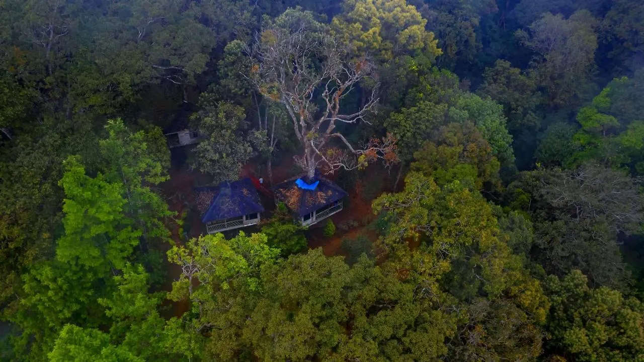 Nature Zone Jungle Resort Munnar 4*,  India