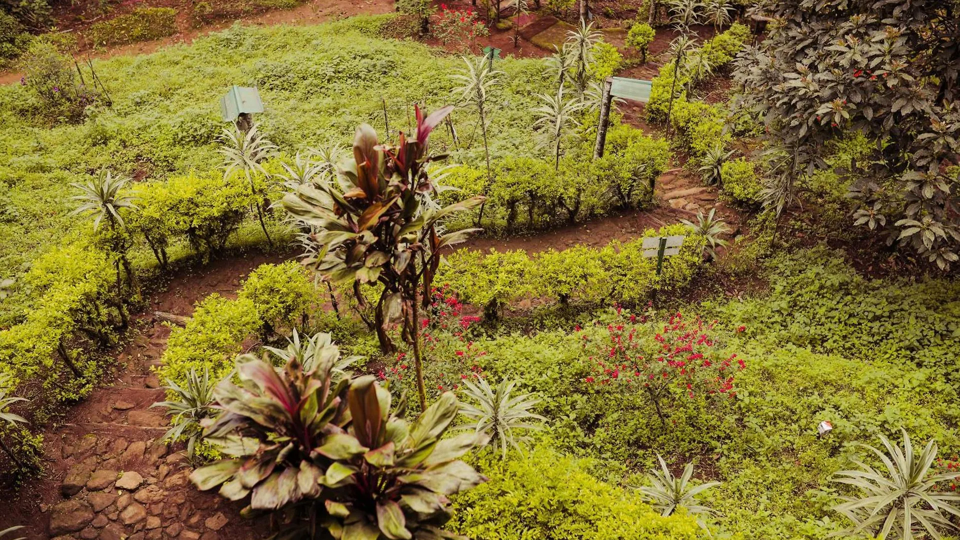 Nature Zone Jungle Resort Munnar India