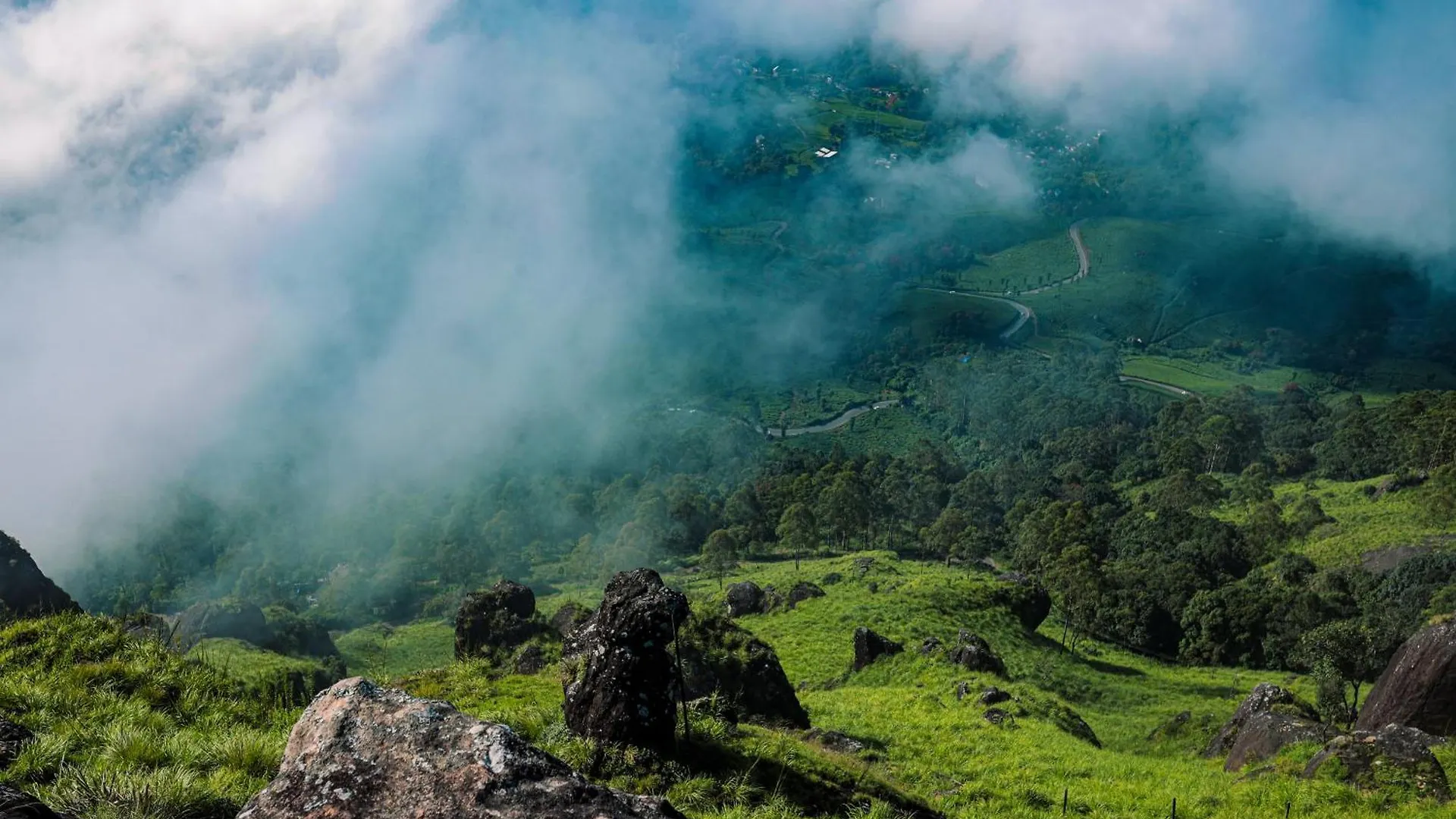 Nature Zone Jungle Resort Munnar