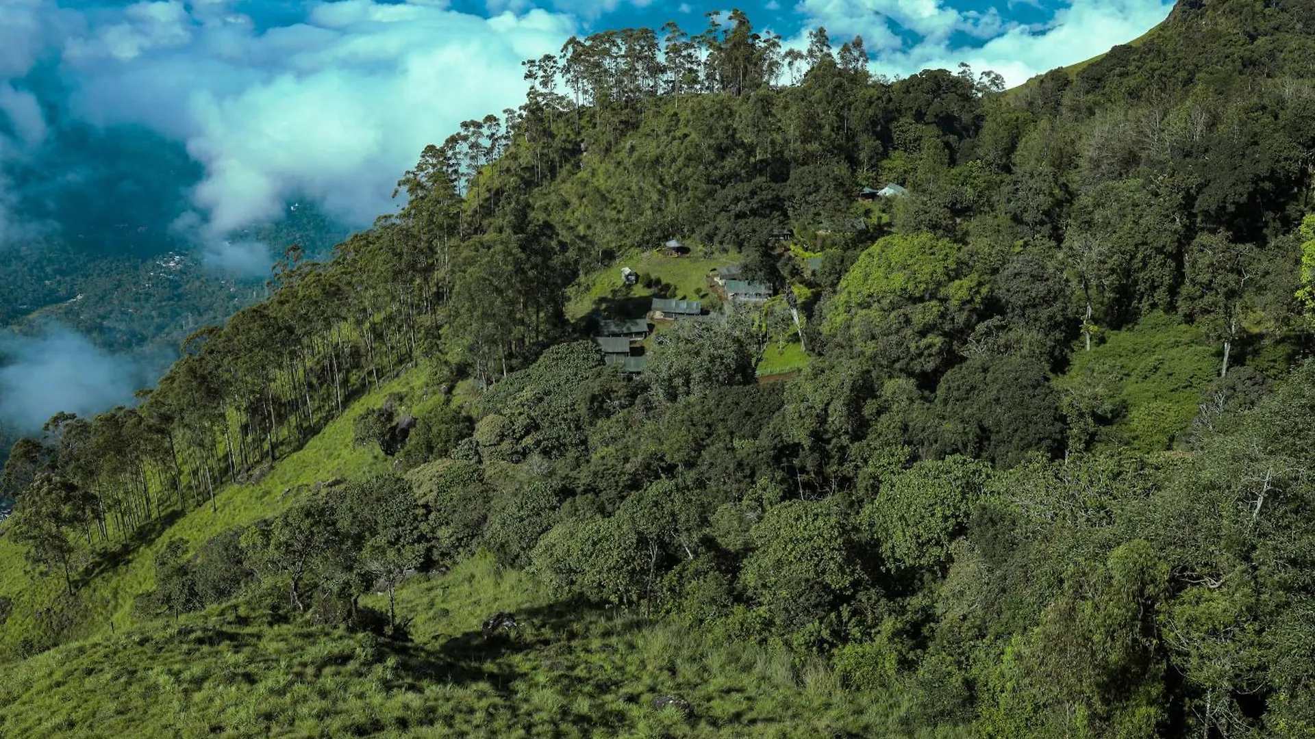 ****  Nature Zone Jungle Resort Munnar India