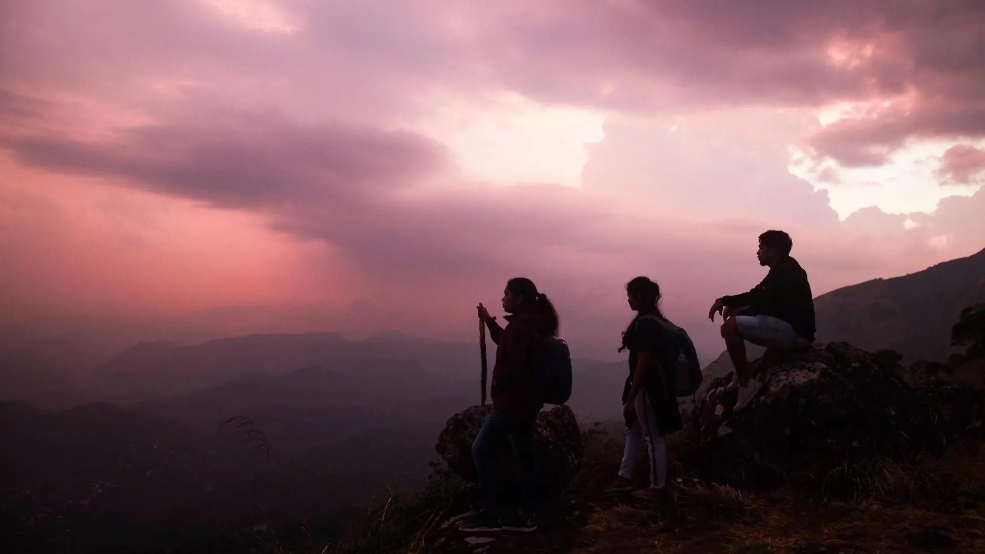 Nature Zone Jungle Resort Munnar