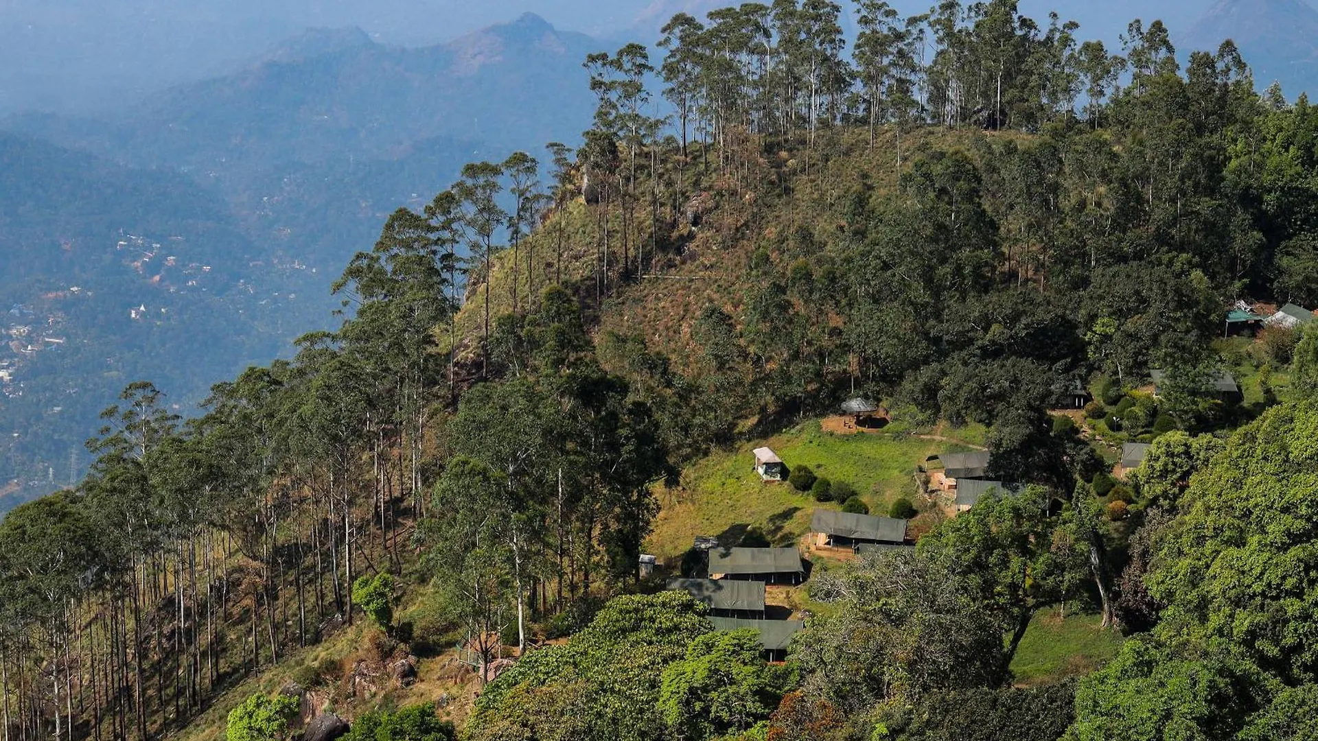Nature Zone Jungle Resort Munnar