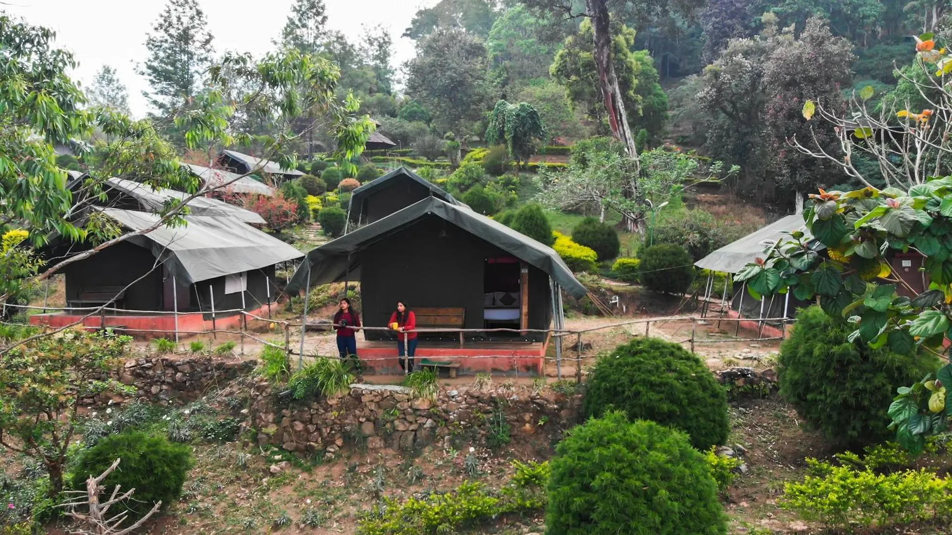 Nature Zone Jungle Resort Munnar