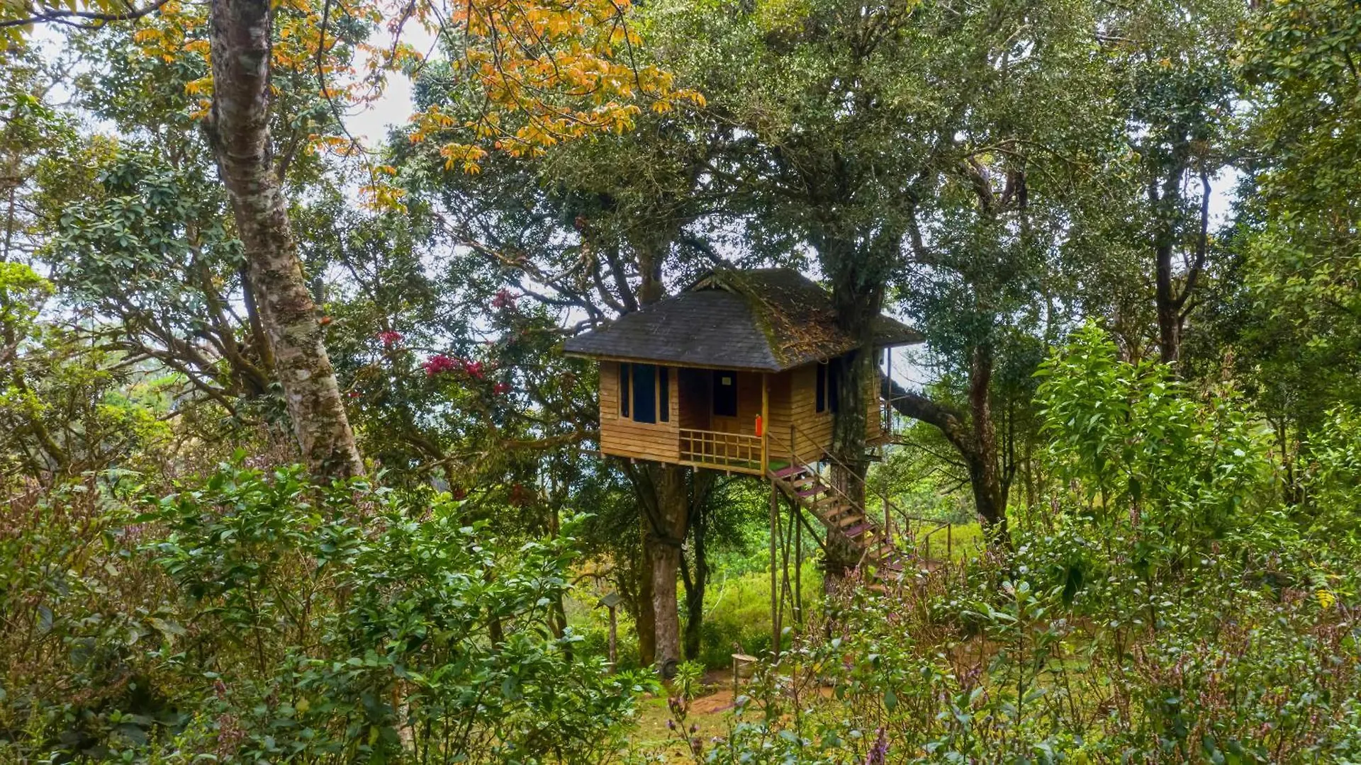 Nature Zone Jungle Resort Munnar 4*,  India