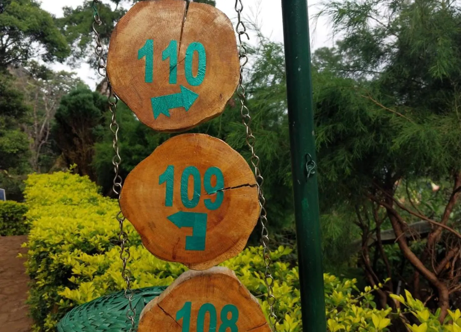 Nature Zone Jungle Resort Munnar