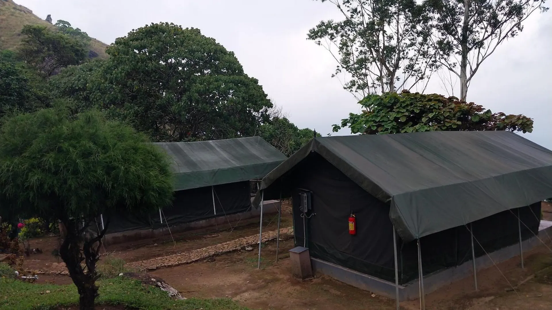 Nature Zone Jungle Resort Munnar