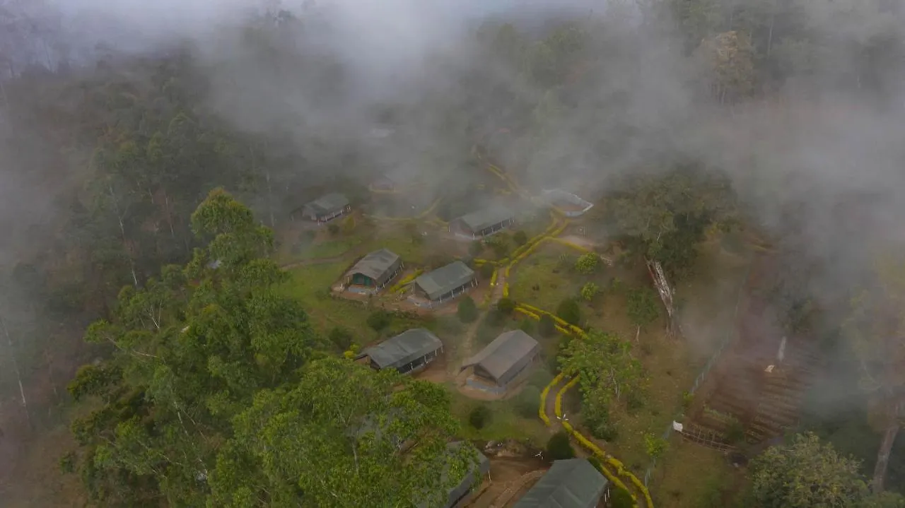 Nature Zone Jungle Resort Munnar