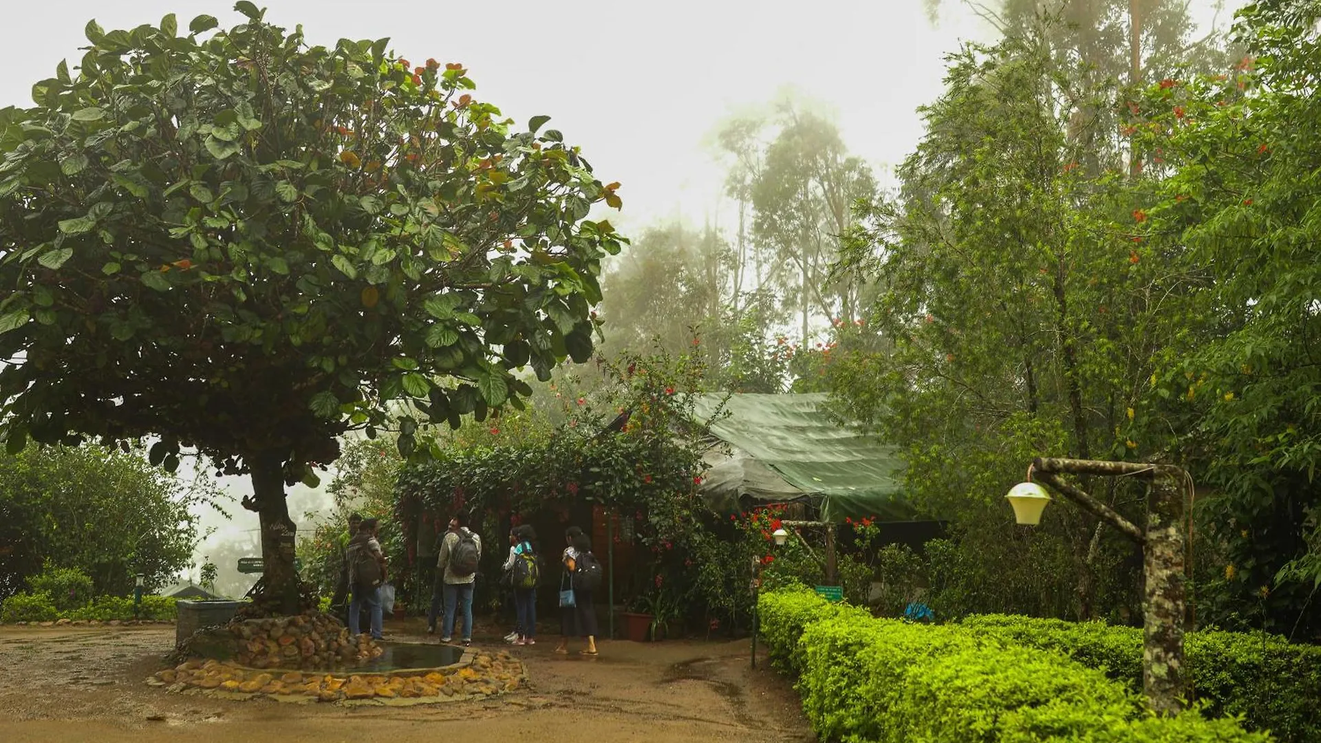 Nature Zone Jungle Resort Munnar