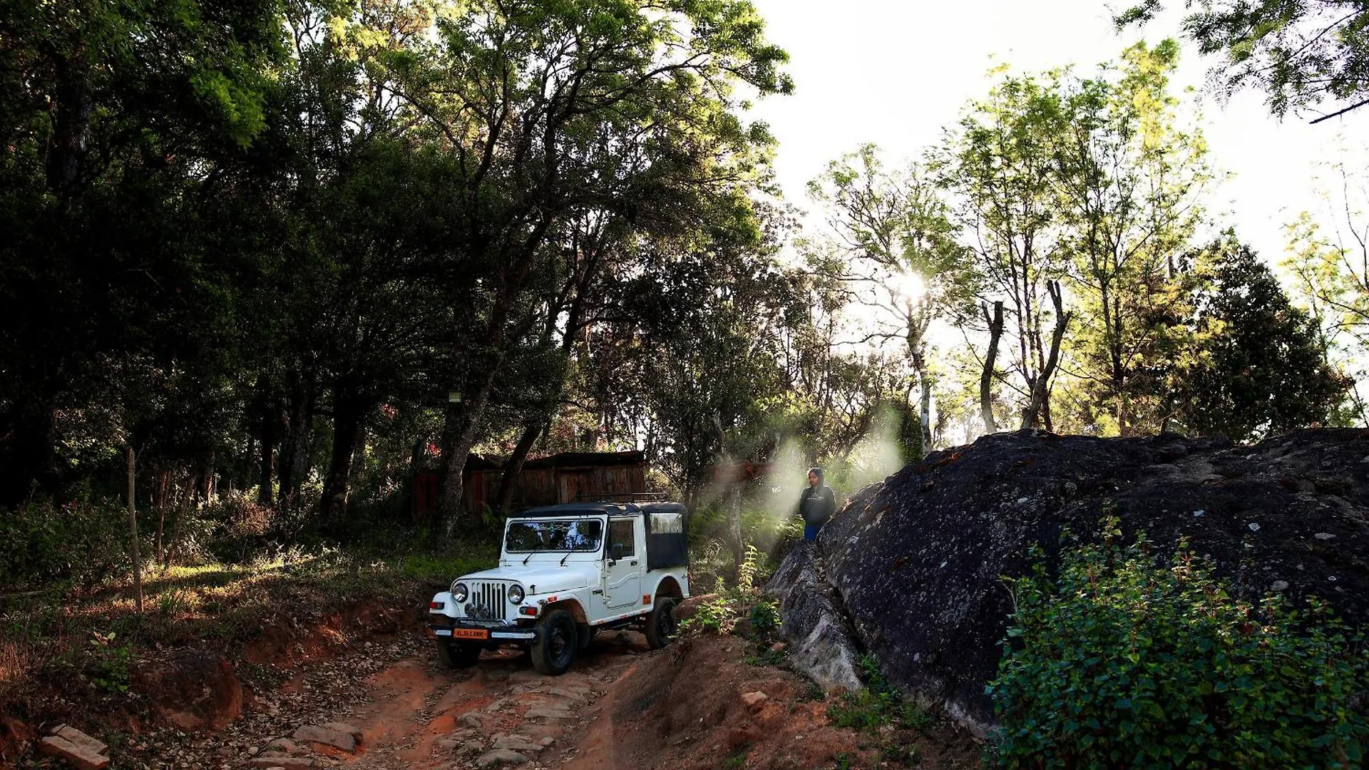 Nature Zone Jungle Resort Munnar 4*,