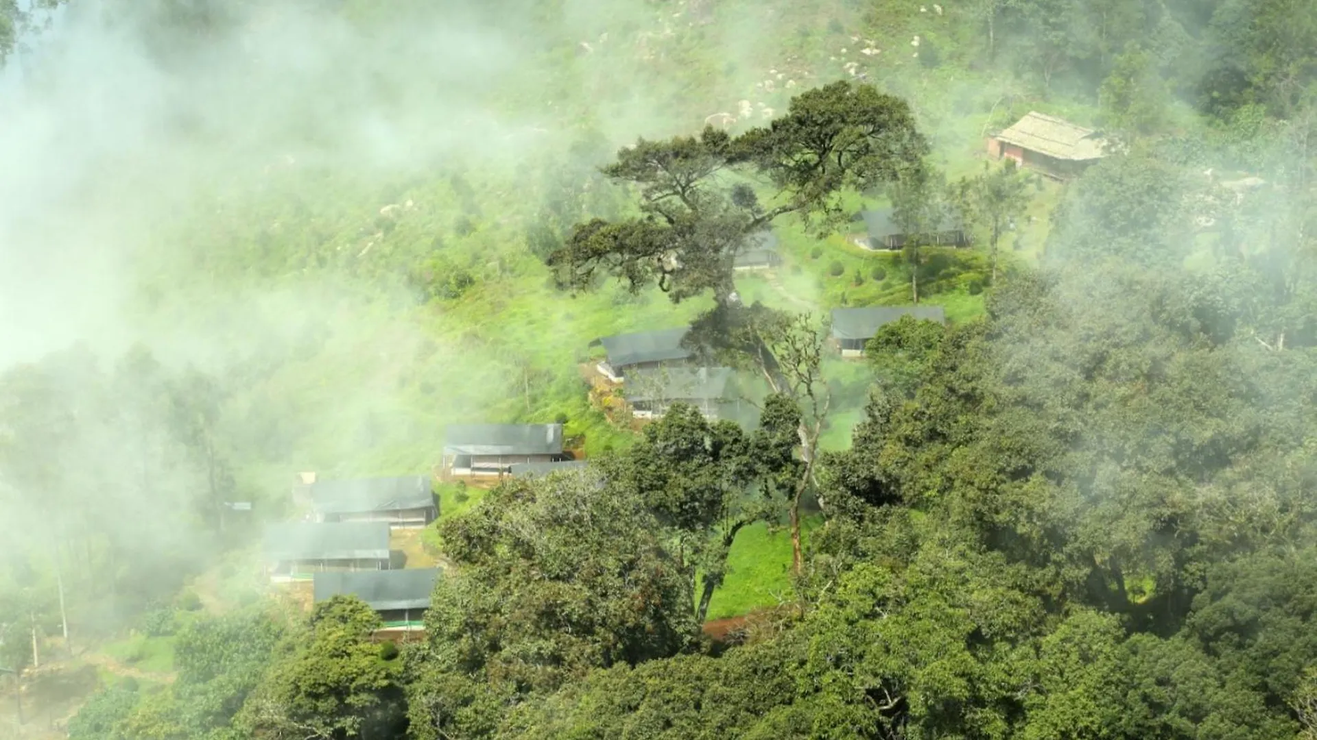 Nature Zone Jungle Resort Munnar