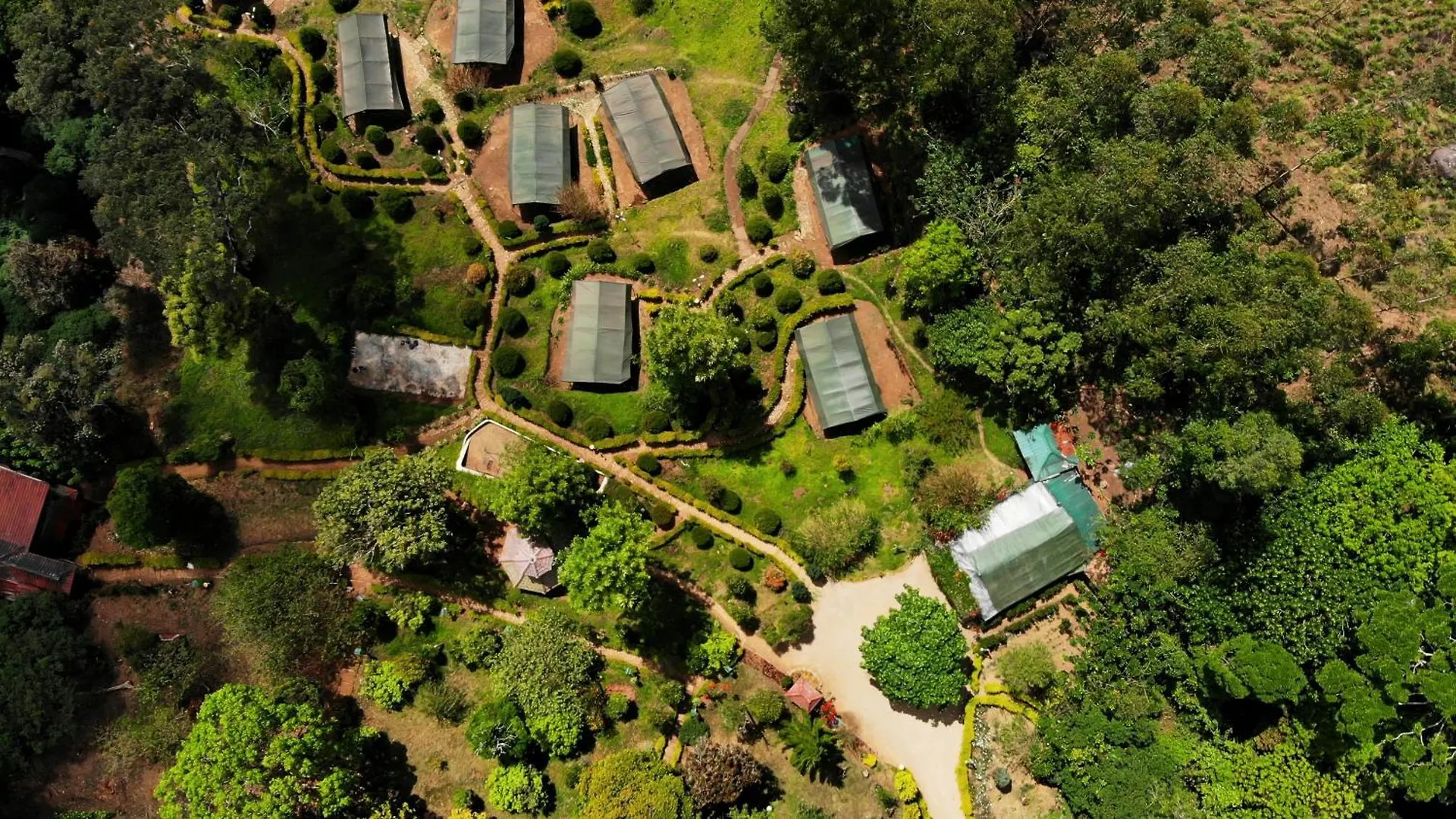 Nature Zone Jungle Resort Munnar