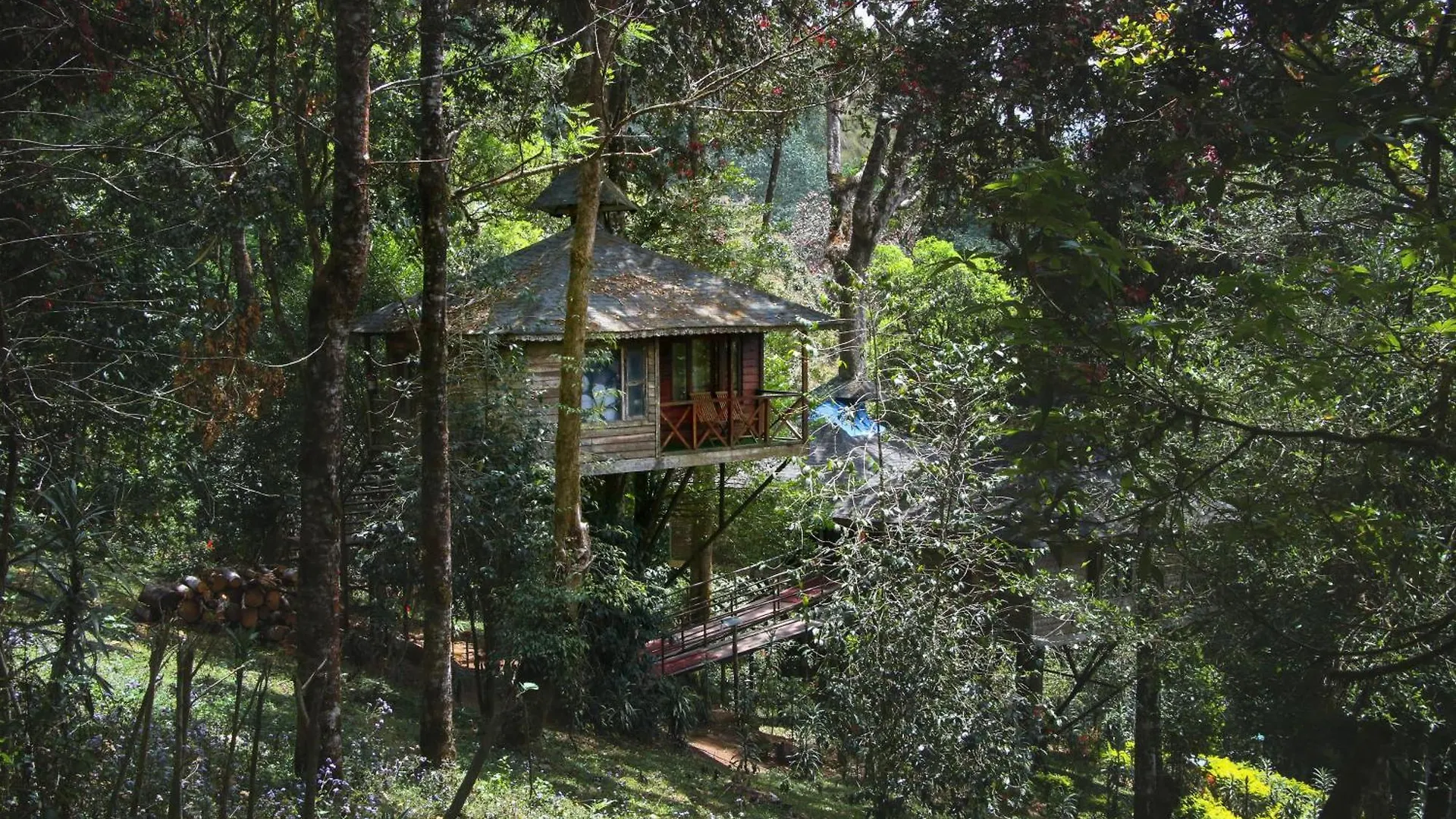 Nature Zone Jungle Resort Munnar
