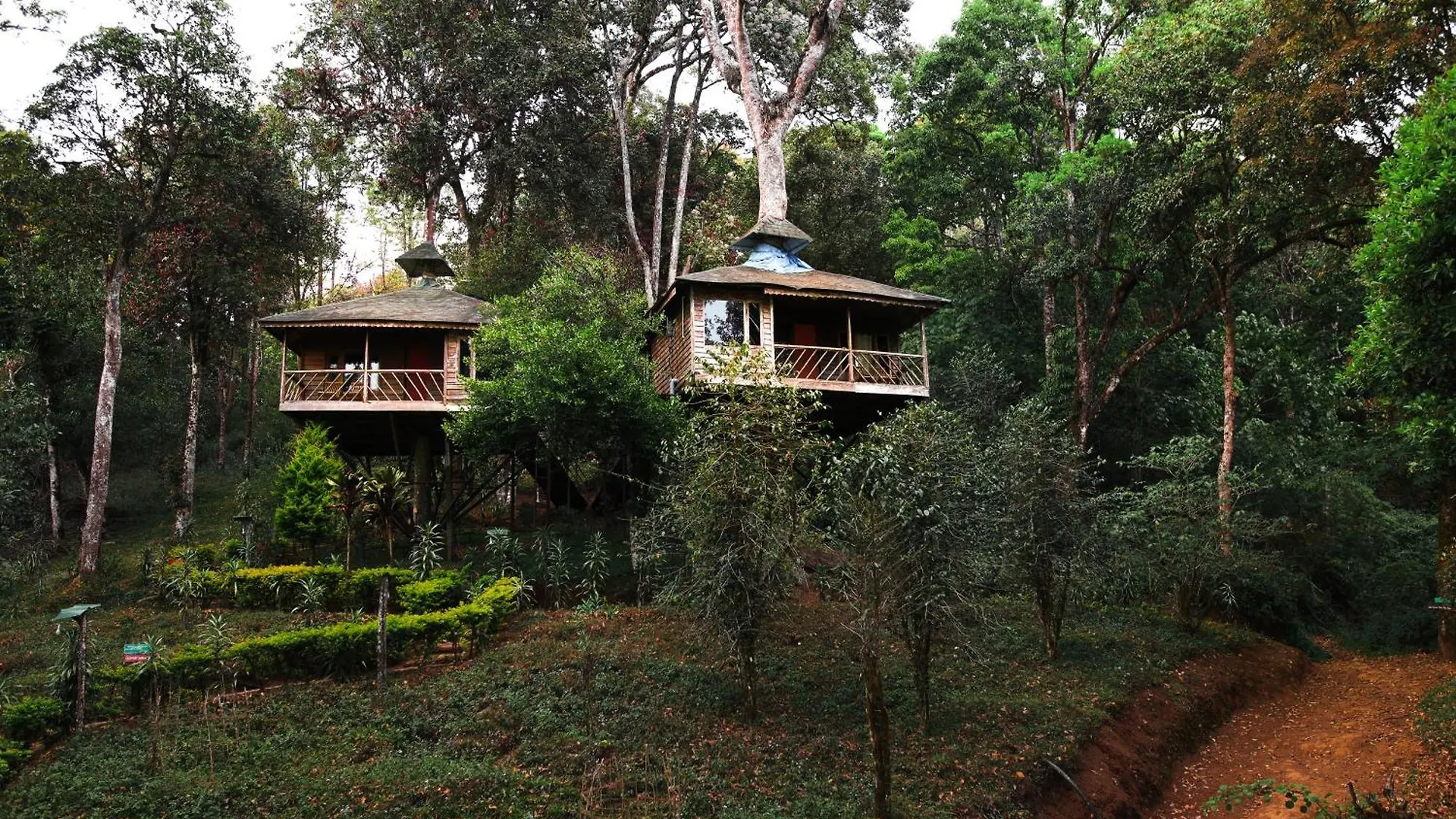 Nature Zone Jungle Resort Munnar