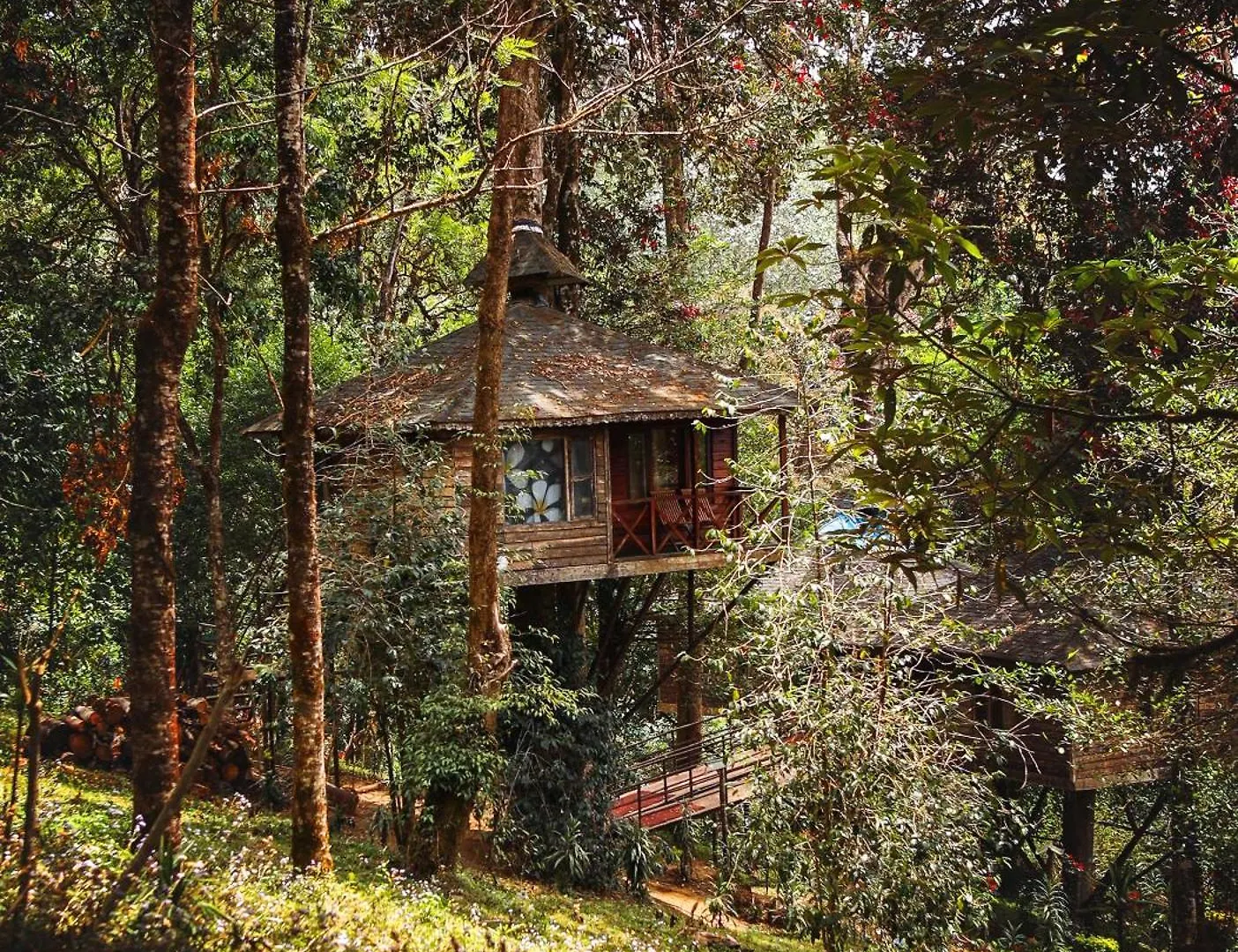 Nature Zone Jungle Resort Munnar