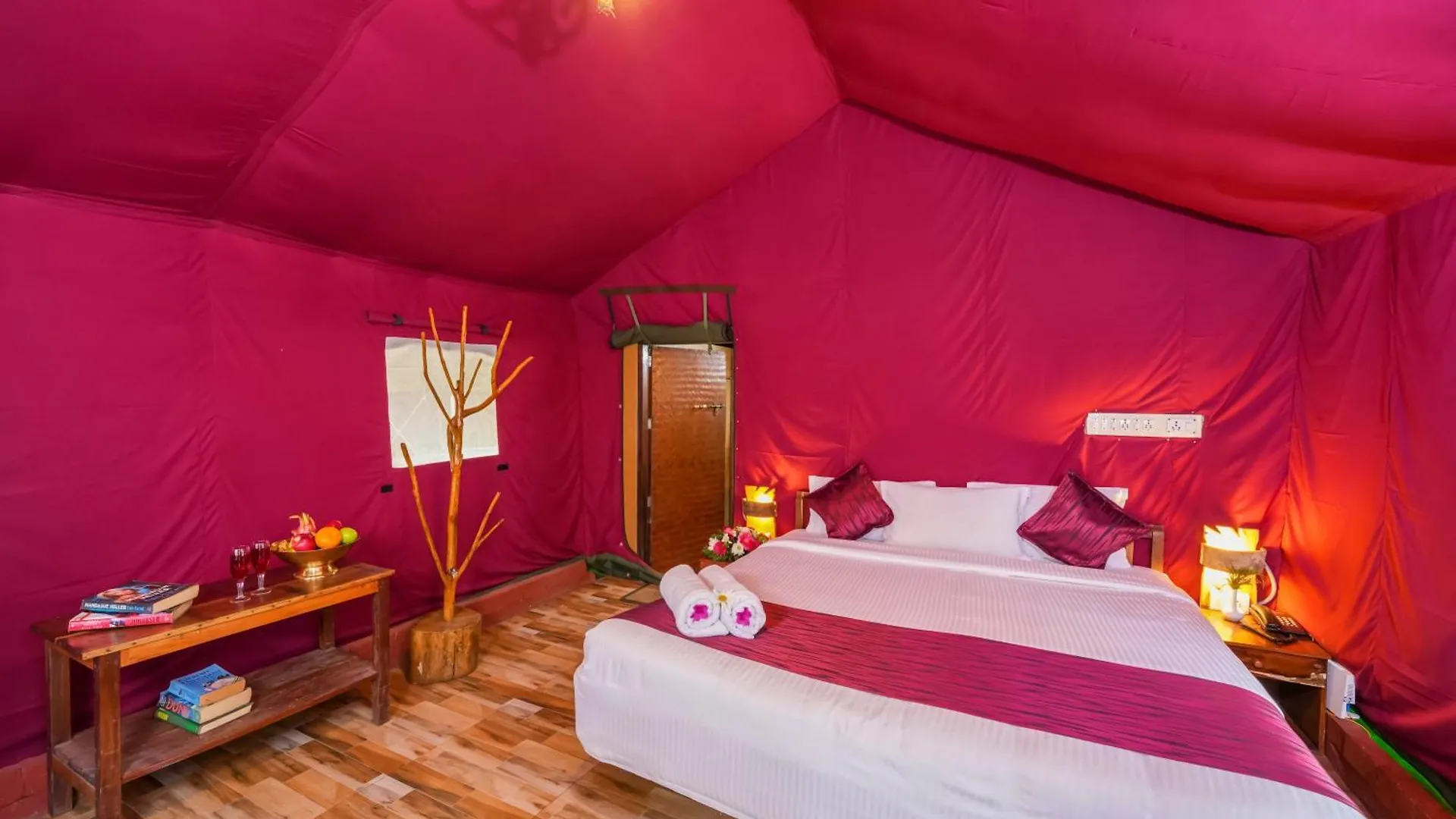 Nature Zone Jungle Resort Munnar India